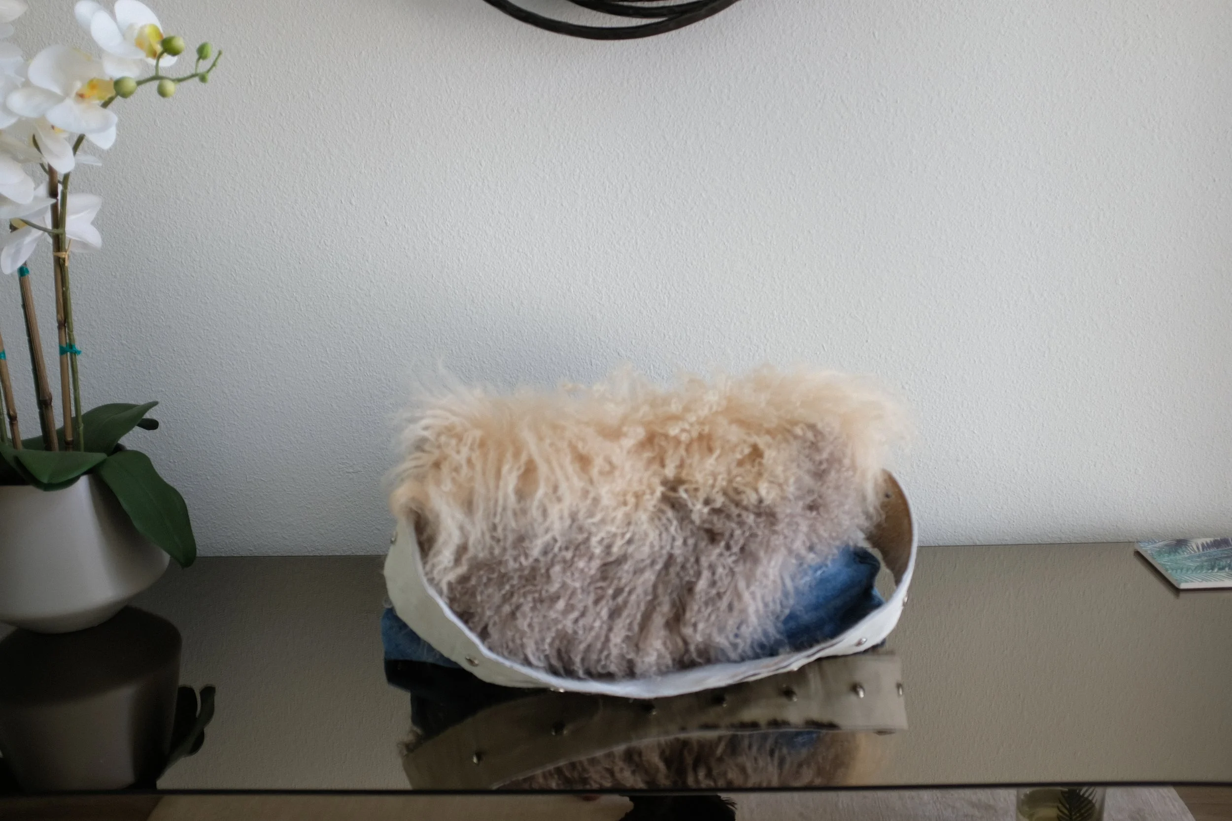 DSCF5074.JPG