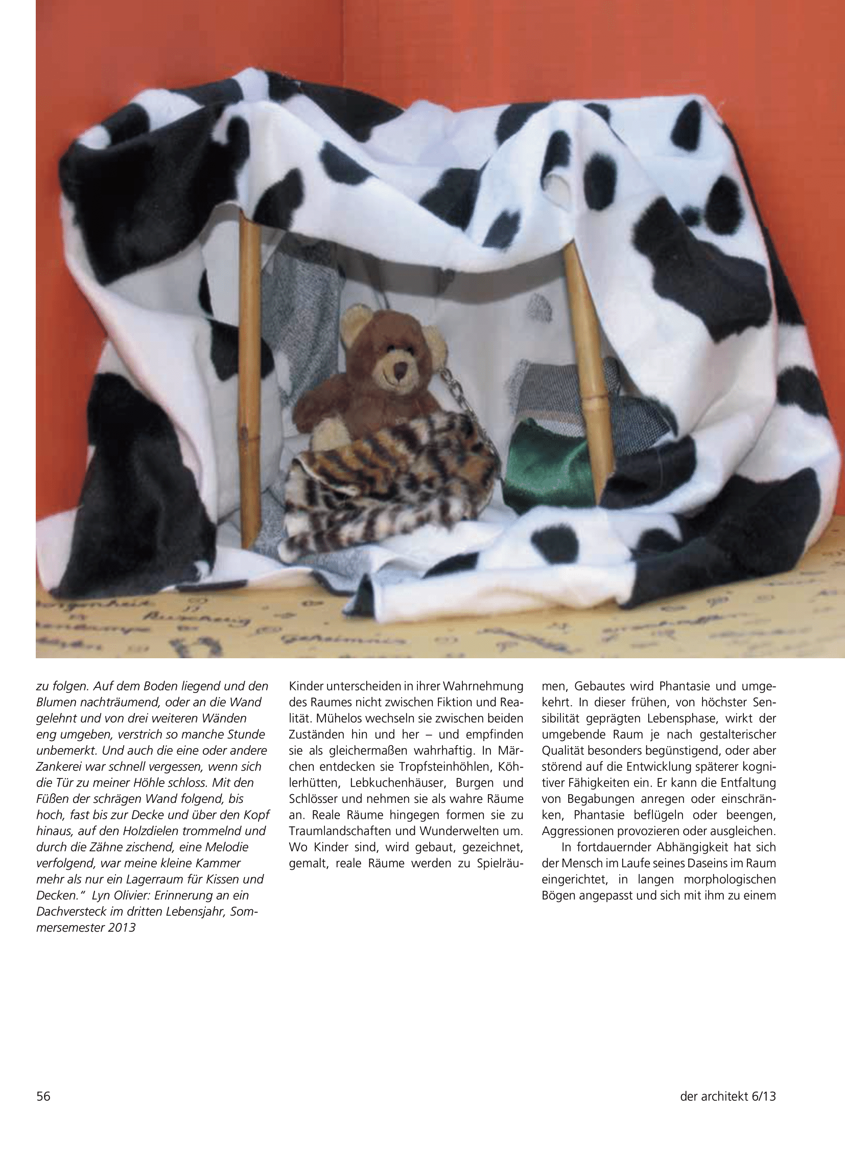 der architekt 2013-6_S 054-057_Dorn:Andruck-3.png