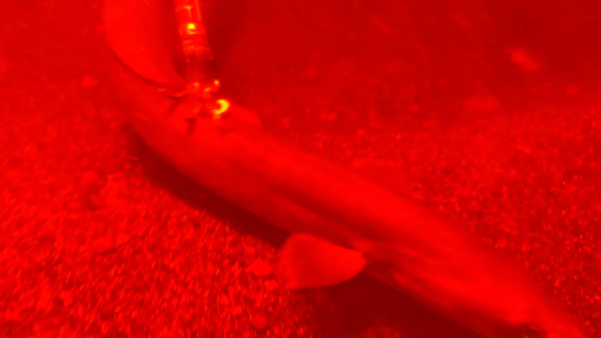 06_ALL_TAKES.Copy.01.mov.01_03_56_10.Still026.jpg