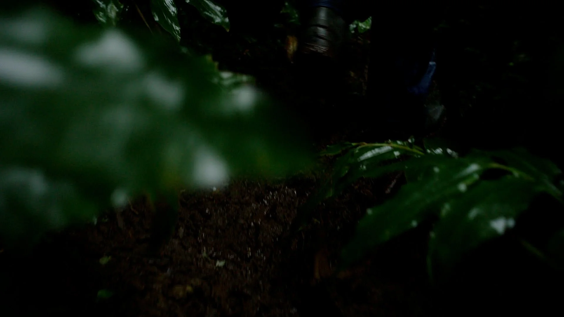 04_ALL_TAKES.Copy.01.Exported.01.mov.01_01_58_13.Still004.jpg