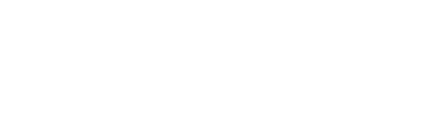 Seraph Security