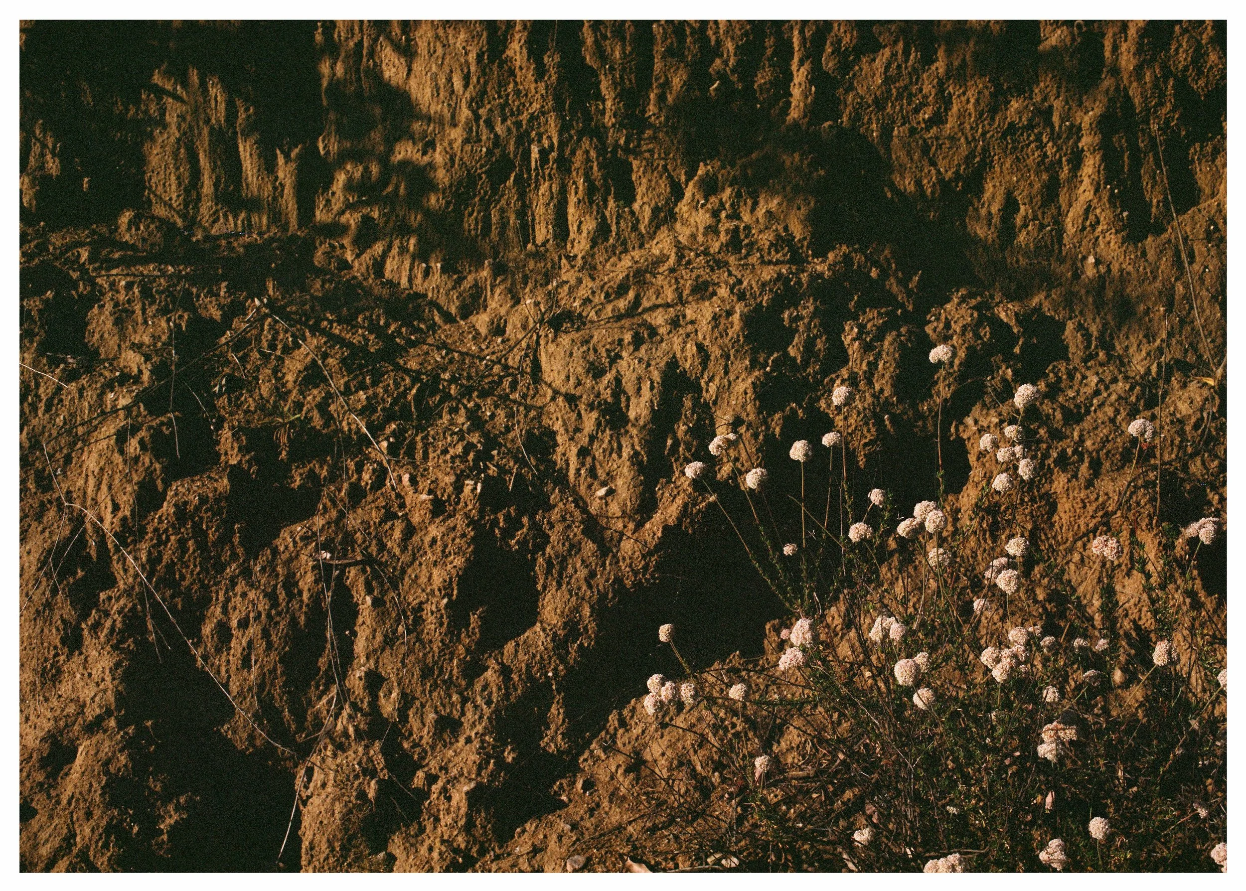 CALIFORNIA - BROADSHEET18.jpg