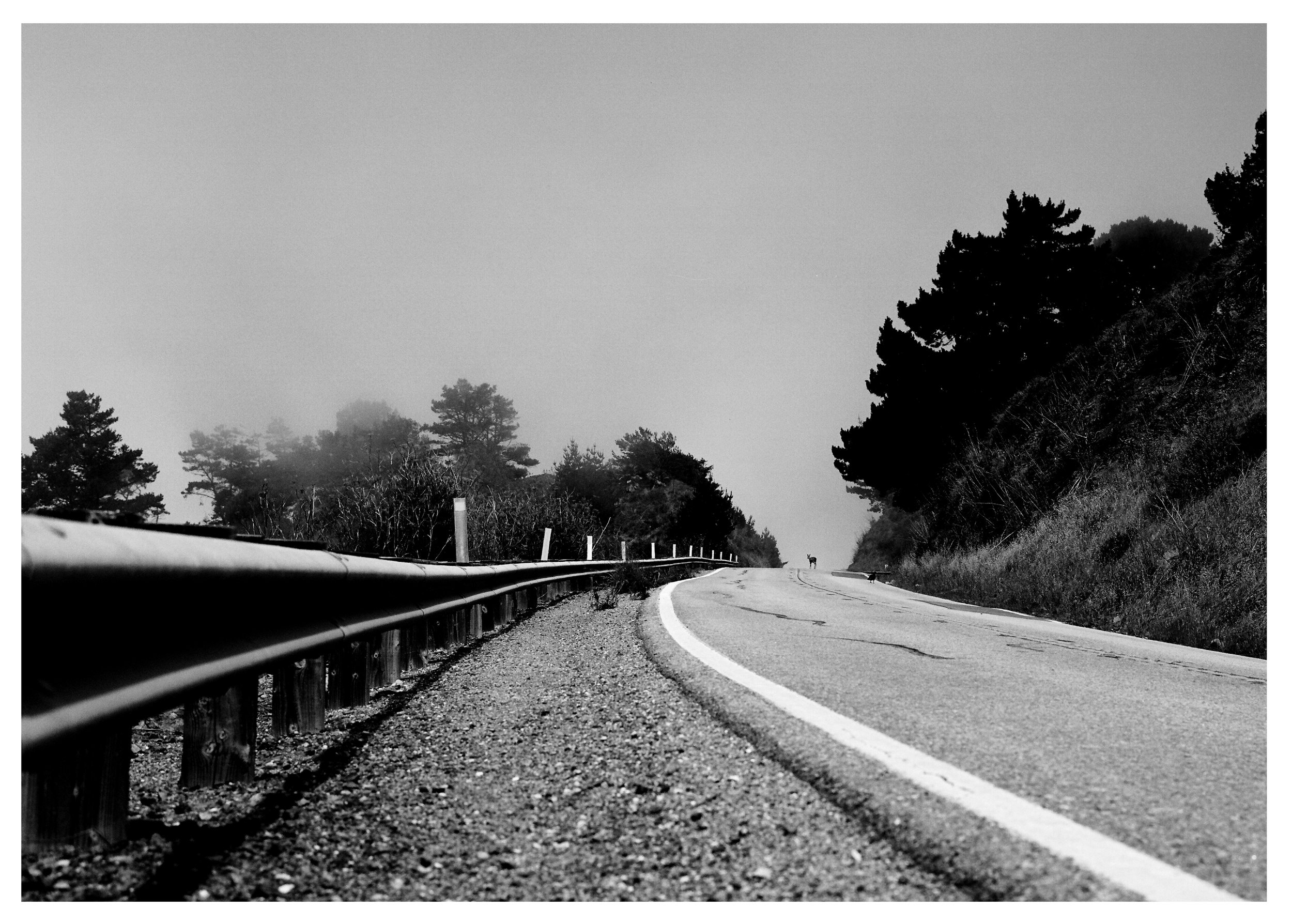 CALIFORNIA - BROADSHEET30.jpg