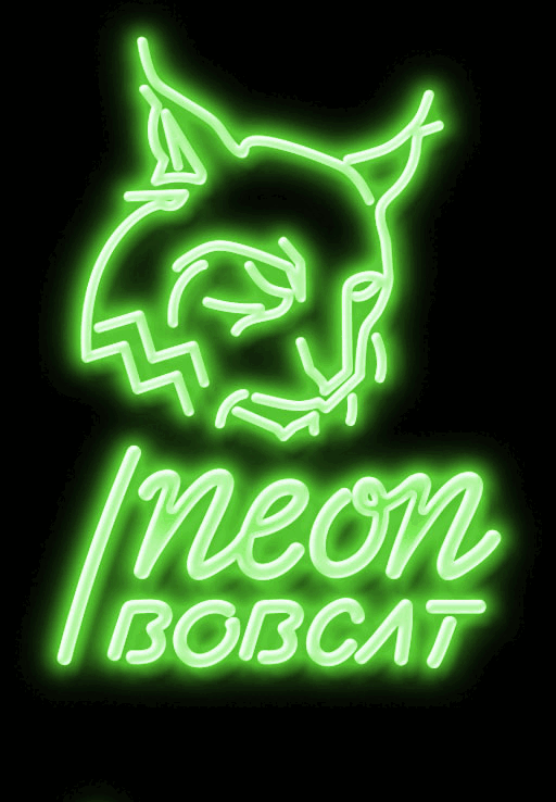 Neon Bobcat Strategy Consultancy