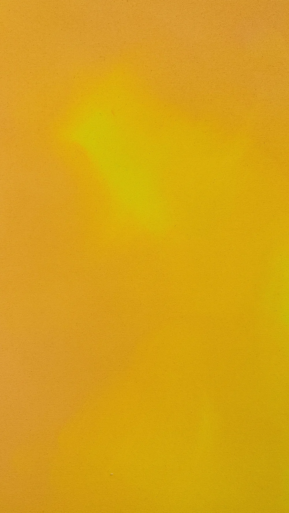 IMG_7574+copy.webp