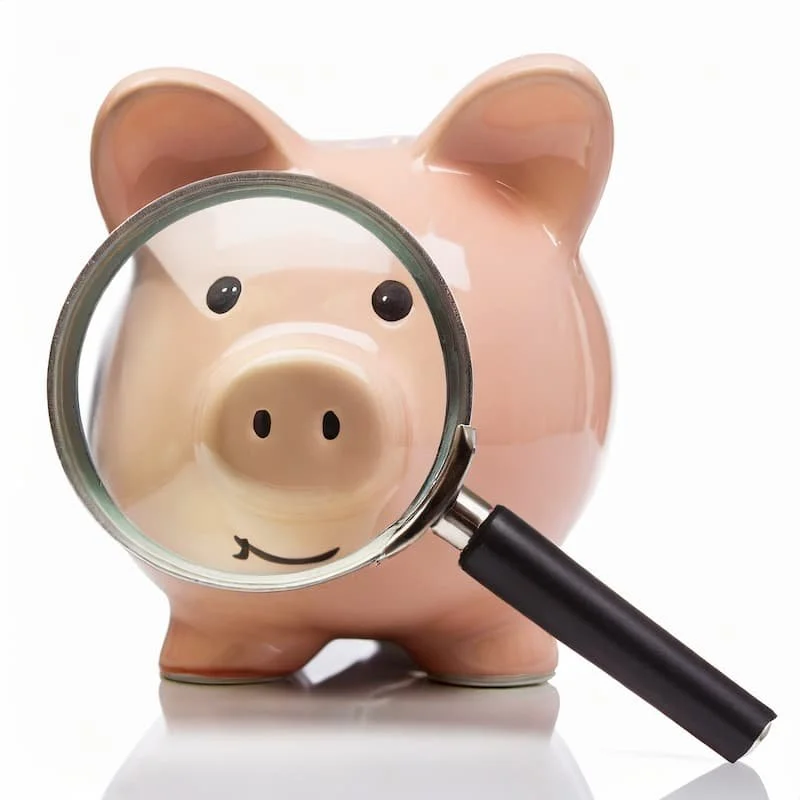 Pink piggy bank with a magnifying glass showing a happy face on its nose.