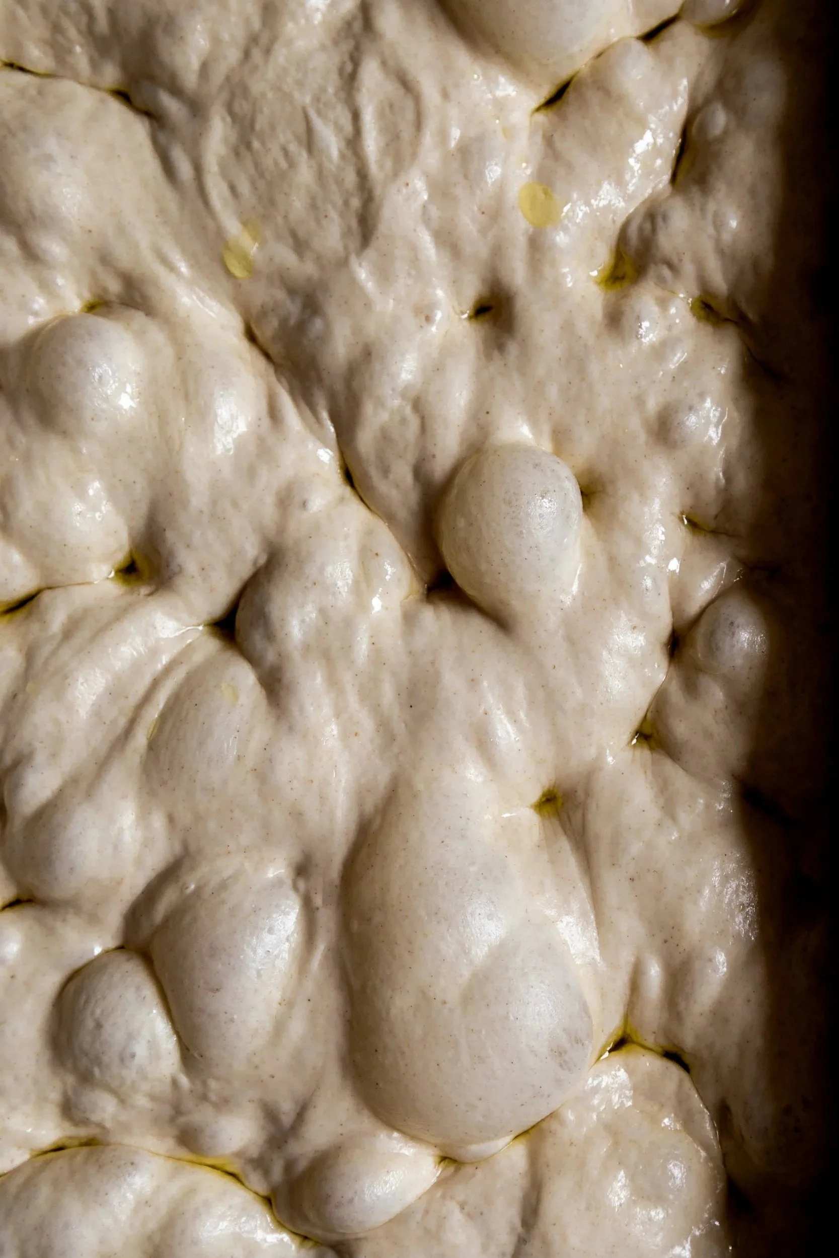 sourdough+focaccia+01.jpg