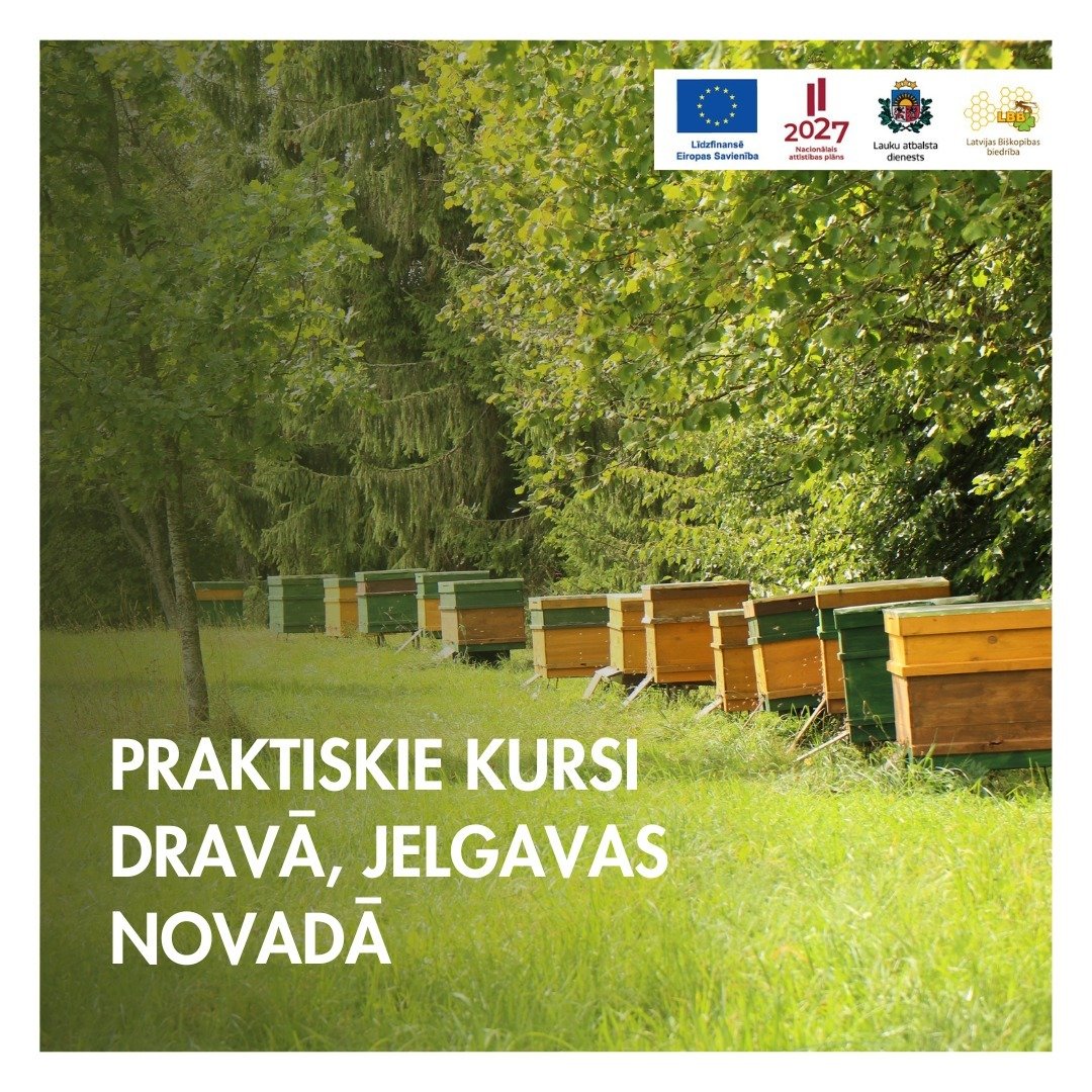 ❗️Pēdējā iespēja pieteikties praktiskajiem kursiem dravā, Jelgavas novadā.

Iegūsti:
🔸 Praktisku pieredzi pie bi&scaron;u stropa, darbā ar bi&scaron;u saimi pieredzēju&scaron;a dravnieka vadībā.
🔸 Zinā&scaron;anas un izdales materiālus par bitēm, s