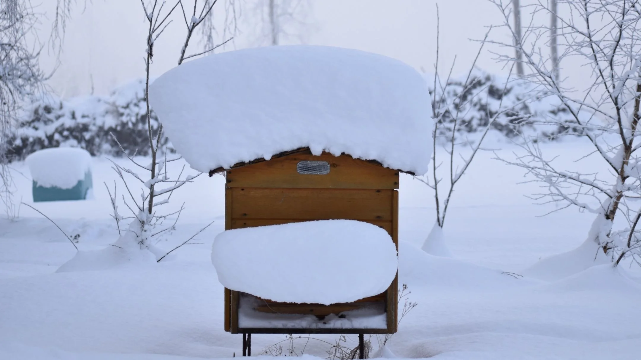 Fotokonkurss “Drava ziemā 2026”