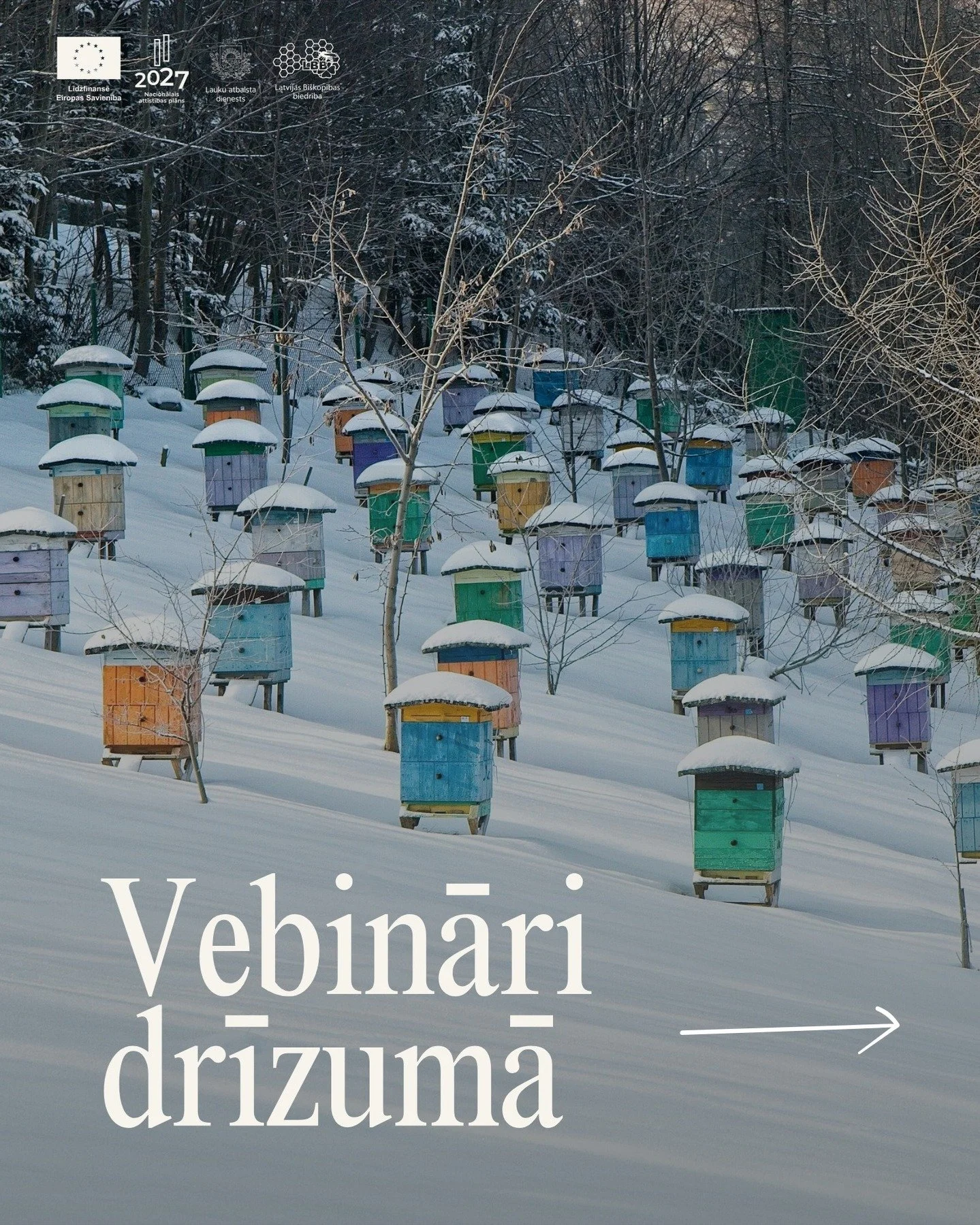 Kamēr bites ir ziemas guļā, aicinām bi&scaron;kopjus apmeklēt dažādus seminārus un vebinārus! ❄️📚

Drīzumā paredzēti tematiski vebināri, kas notiks tie&scaron;saistē. Atliek tikai reģistrēties, iekārtoties ērtāk un uzņemt jaunas zinā&scaron;anas!

L