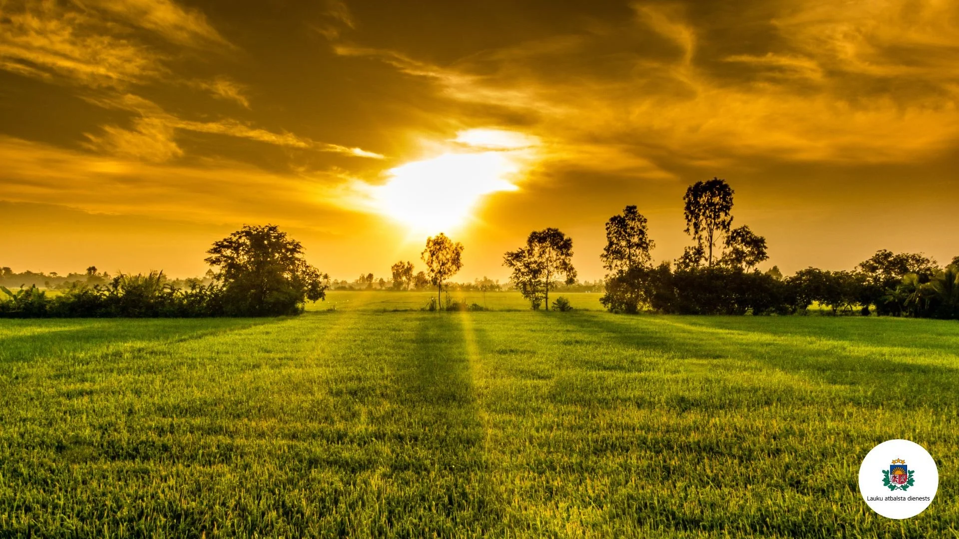 Lauku Atbalsta dienesta aktualitātes