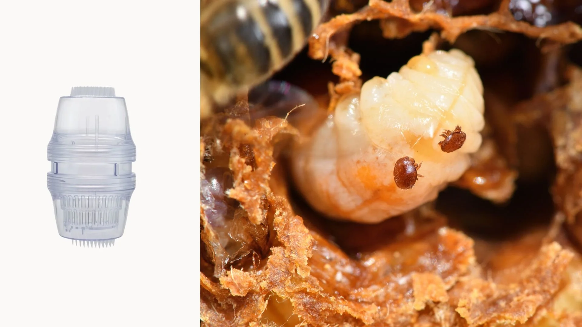 Varroa Tester lietošanas instrukcija