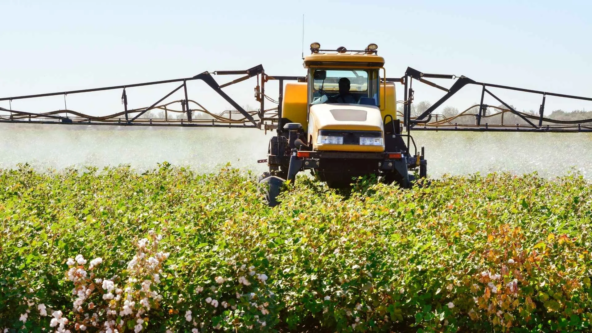 Bišu aizsardzība pret augu aizsardzības līdzekļu lietošanu
