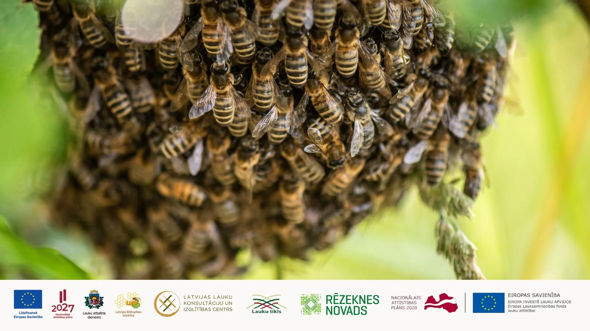 XI Starptautiskā Latgales reģiona biškopju konference