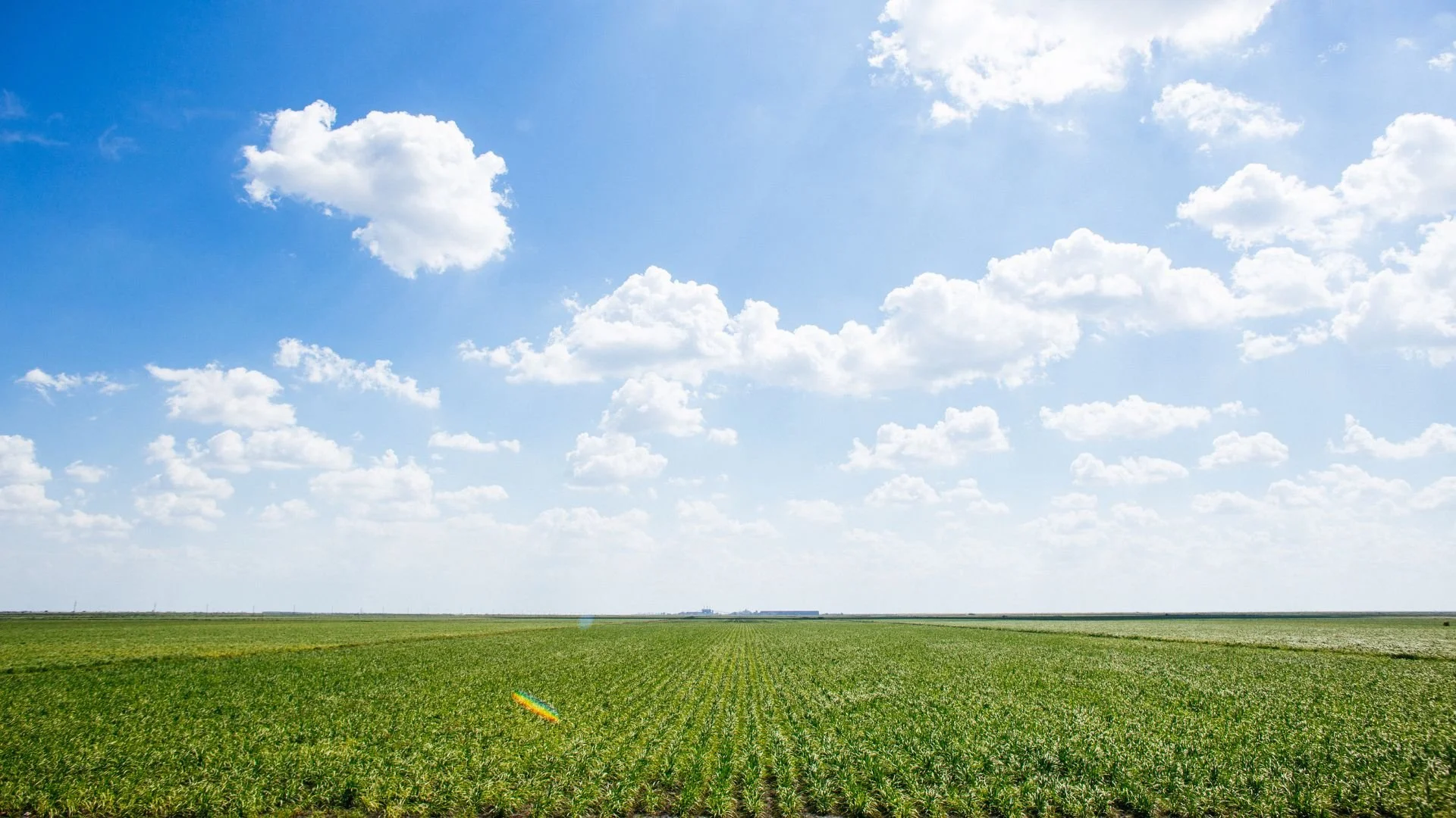 No 14. aprīļa lauksaimnieki varēs pieteikties platību maksājumiem