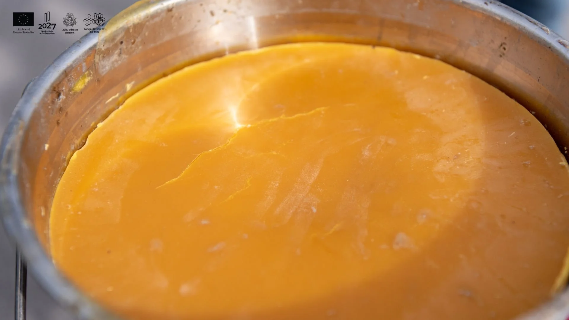 Bišu vaska kvalitāti ietekmējoši faktori