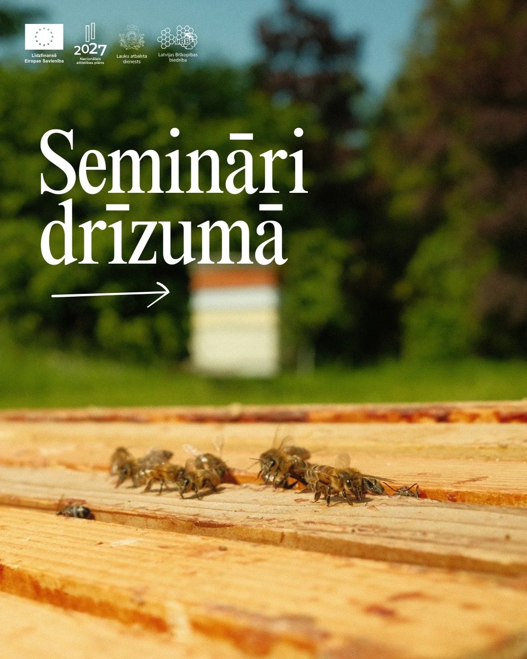 Aicinām bi&scaron;kopjus apmeklēt seminārus aprīlī! 

&Scaron;onedēļ divi semināri: 

📆 6. maijā Zoom platformā: "Bi&scaron;kopības produkcijas kvalitātes kritēriji, pareizai produkcijas paraugu sagatavo&scaron;anai dažādiem konkursiem." P