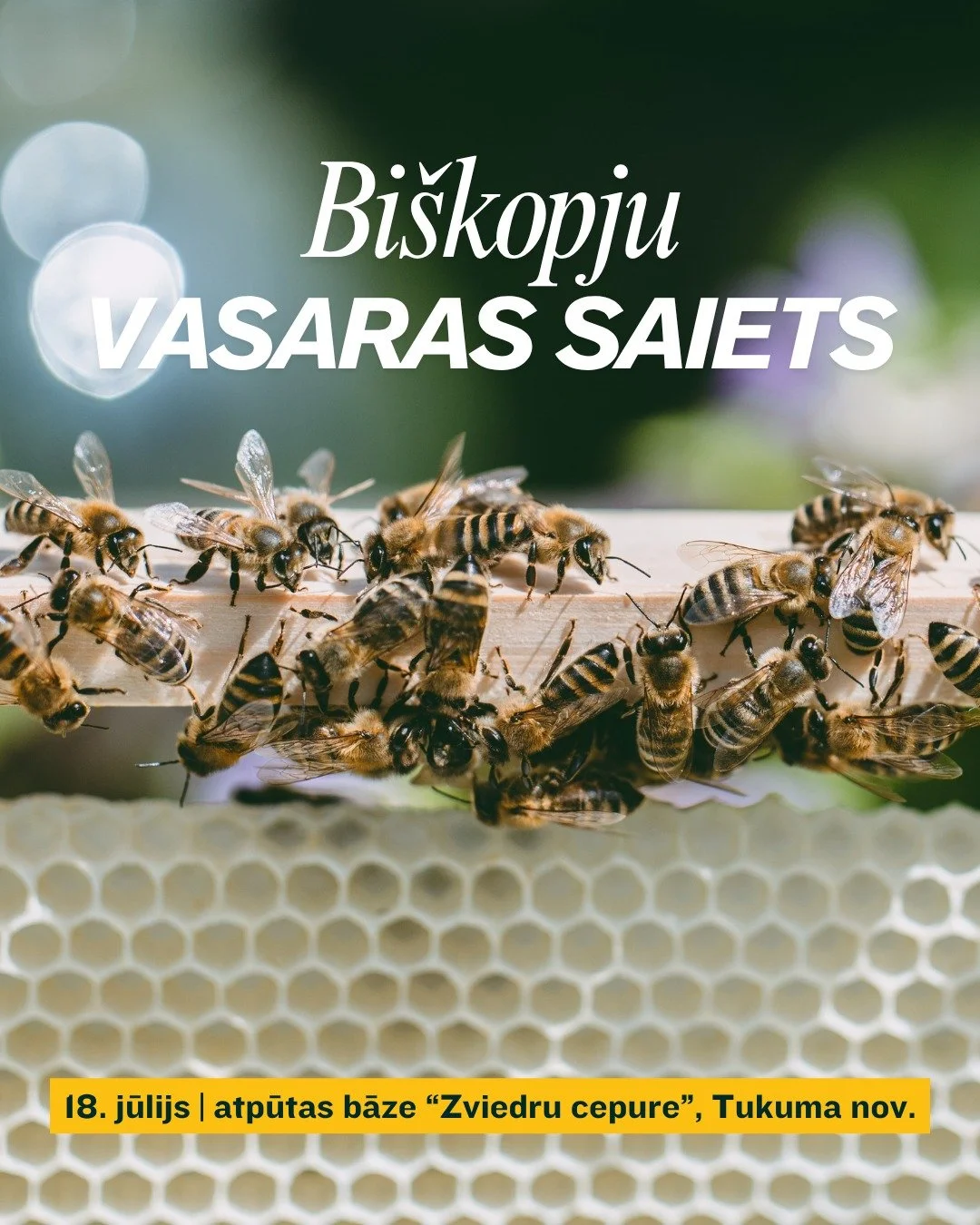 BI&Scaron;KOPJU VASARAS SAIETS 2026
📆 Sestdiena, 18. jūlijs
📍atpūtas vieta &ldquo;Zviedru cepure", Piltiņi, Tukuma nov.

Tiekamies &scaron;ī gada saietā, kur kā katru gadu noskaidrosim konkursa &bdquo;Latvijas gar&scaron;īgākais medus 2026&rdq