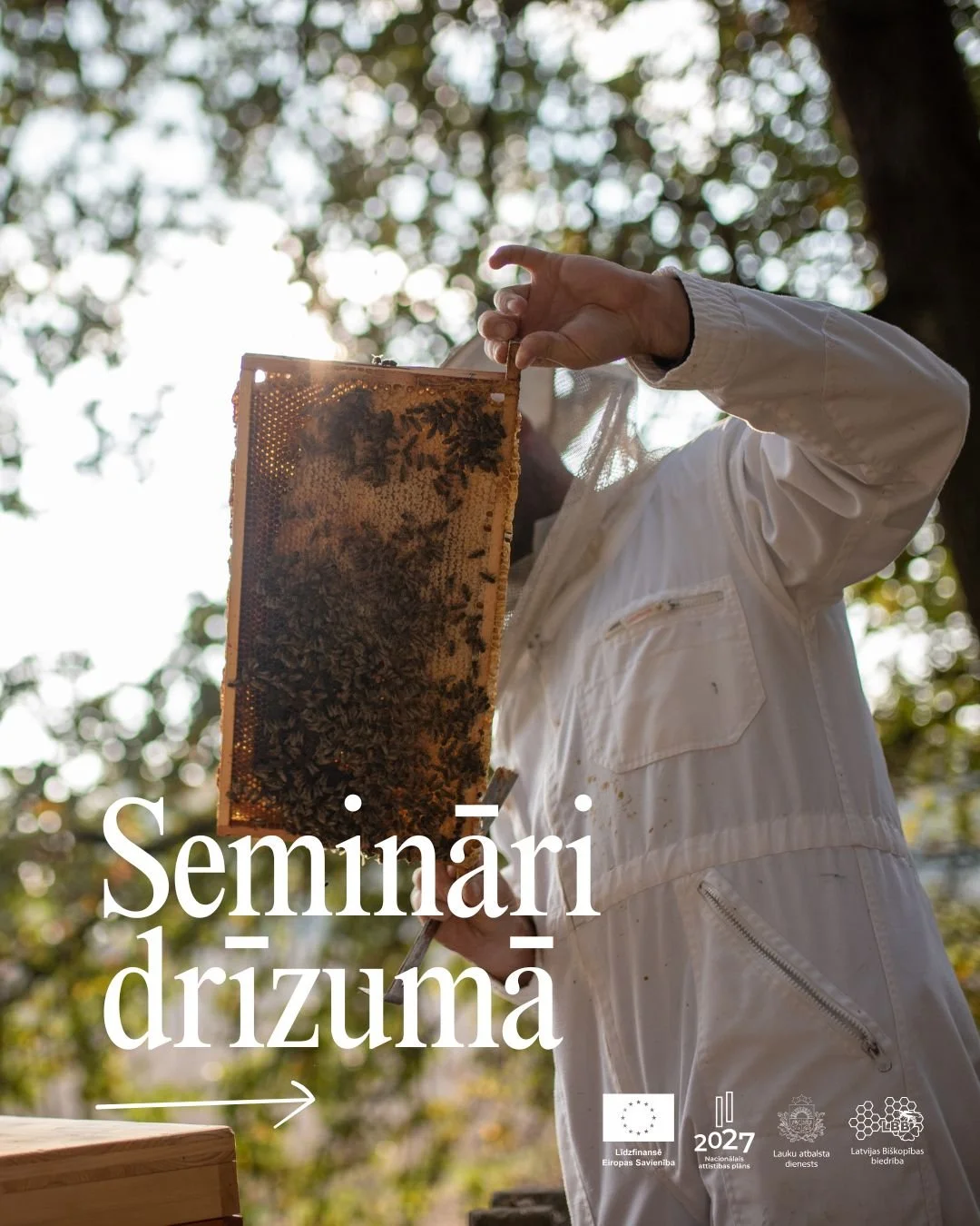 Aicinām bi&scaron;kopjus apmeklēt seminārus reģionos! 🐝

&Scaron;ī ir lieliska iespēja papildināt zinā&scaron;anas, uzzināt arī ko jaunu un satikties ar citiem bi&scaron;kopjiem!

Semināru vietas, datumi un laiki &ndash; attēlos. Uz tik&scaron;anos!