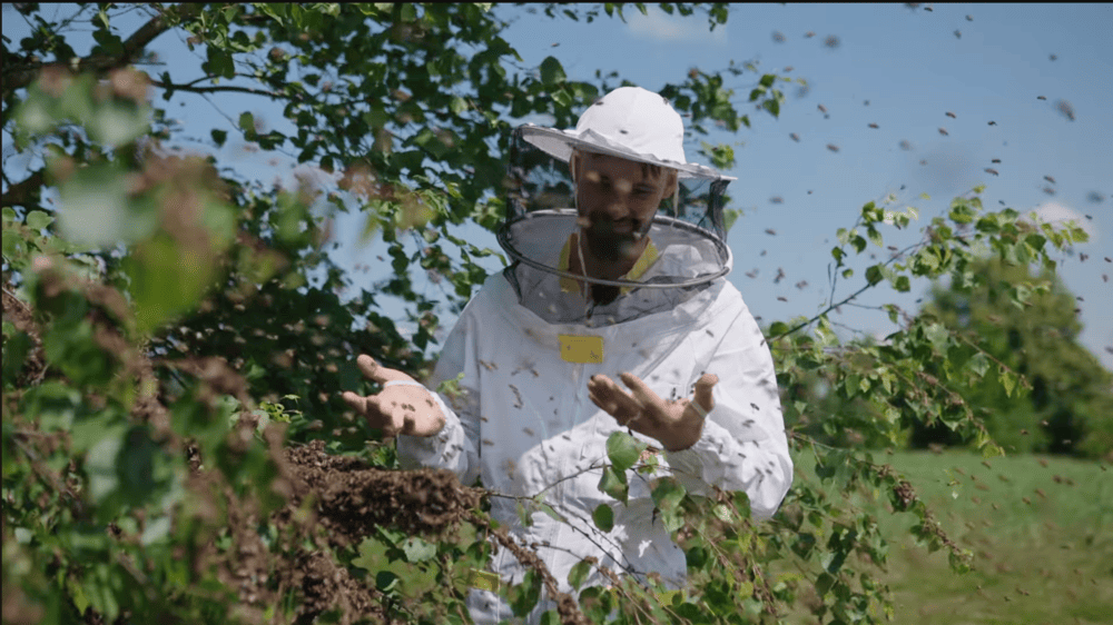 beekeeper in a swarm of bees