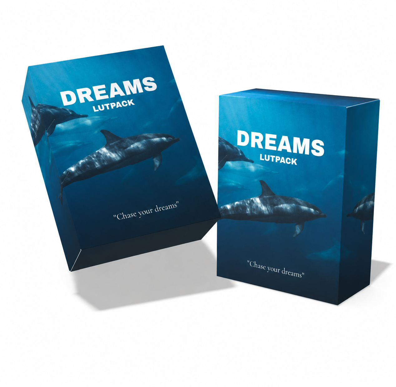 DREAMS. LUT Collection