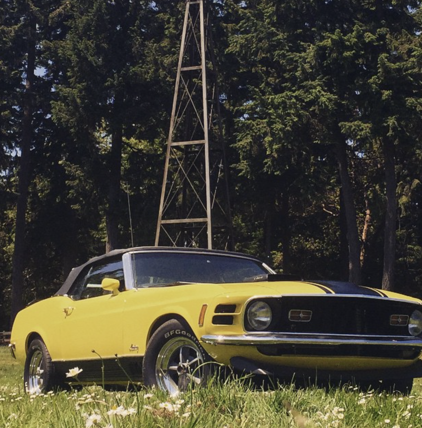 Captura de pantalla 2023-06-11 a la(s) 9.58.57 a.m..png