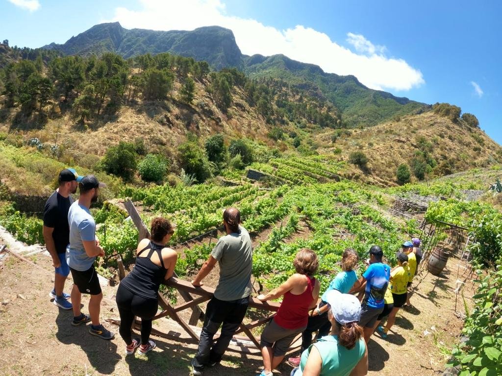 VISITA GUIADA A LA BODEGA MONTORO, EN LA GOMERA
