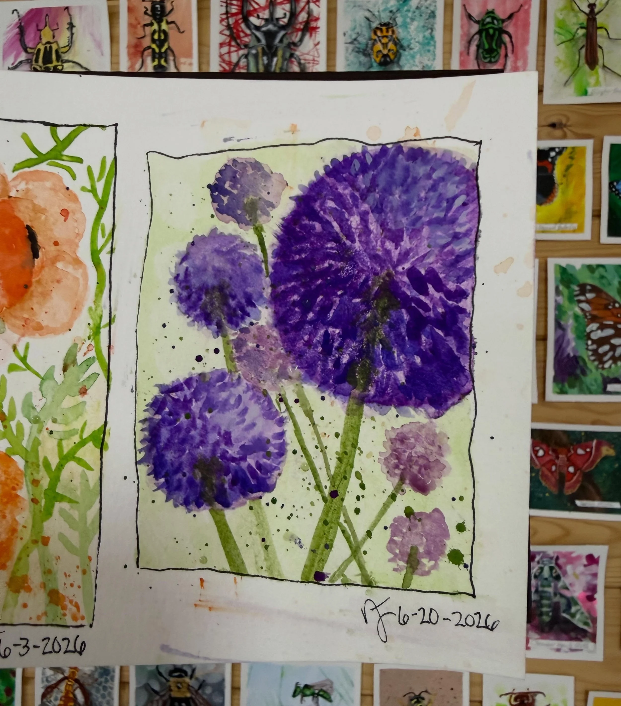 Back at it&hellip;a little watercolor painting today.  Another one of my favs - Allium (Giant Onion) Flower 
.
.
.
#giantonion #allium #purple #watercolor