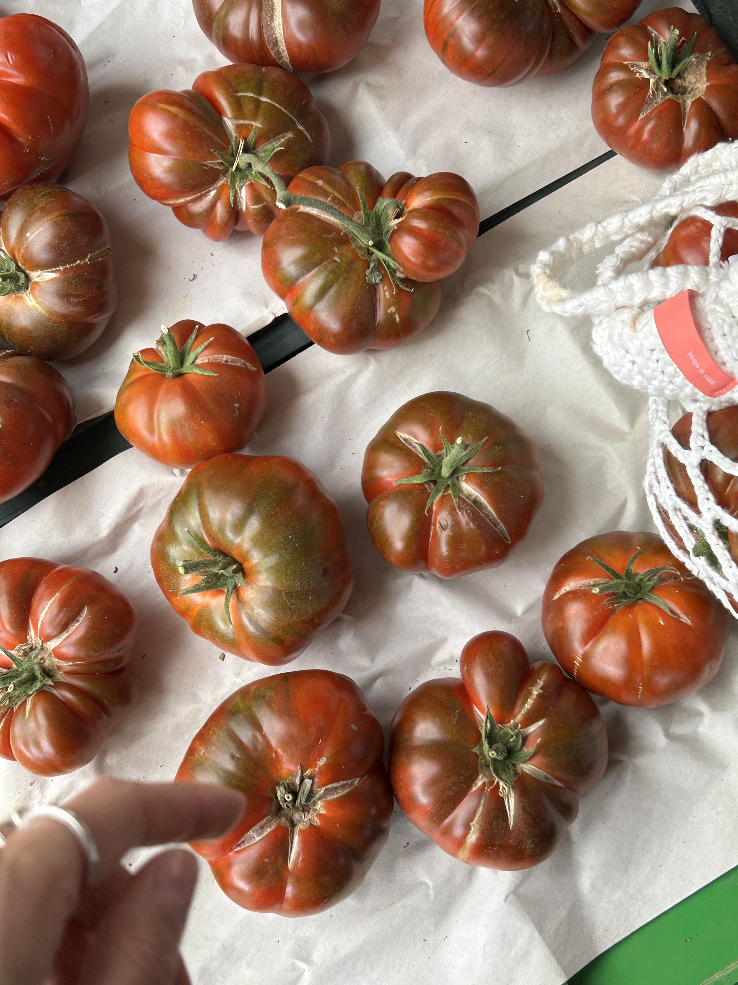 Pomilori [πομιλόρι]