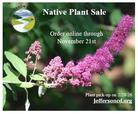 Click here for more info.