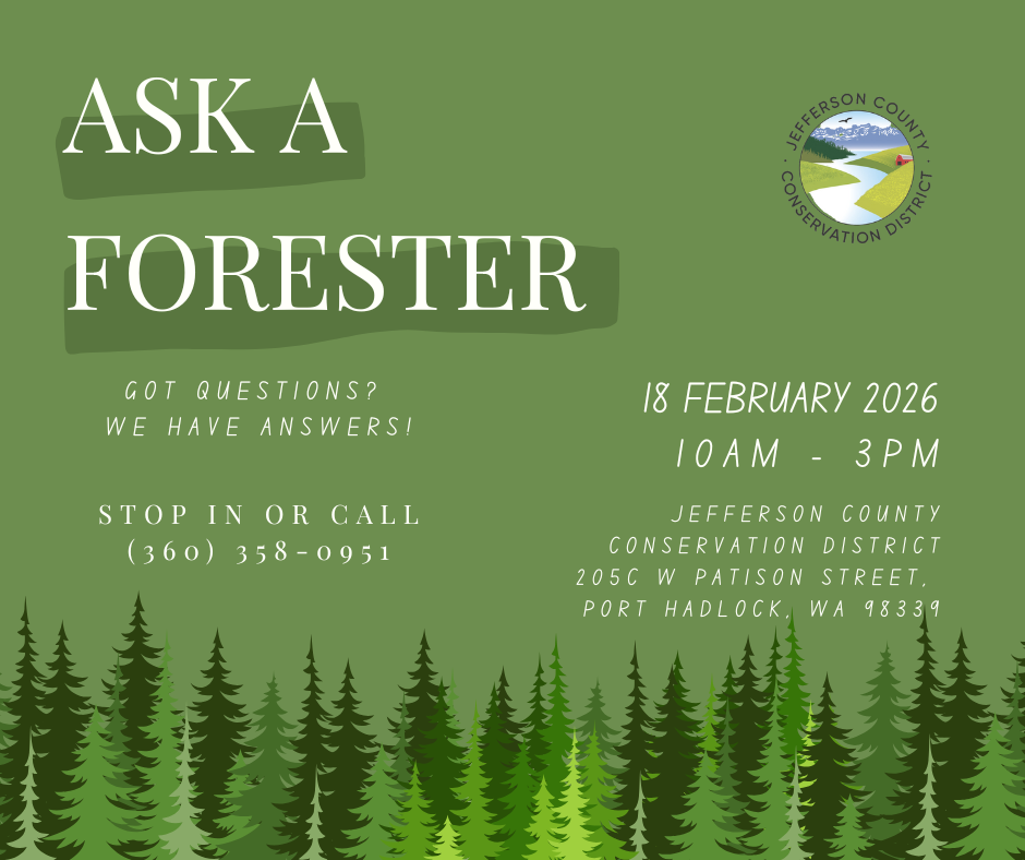 Ask a Forester!