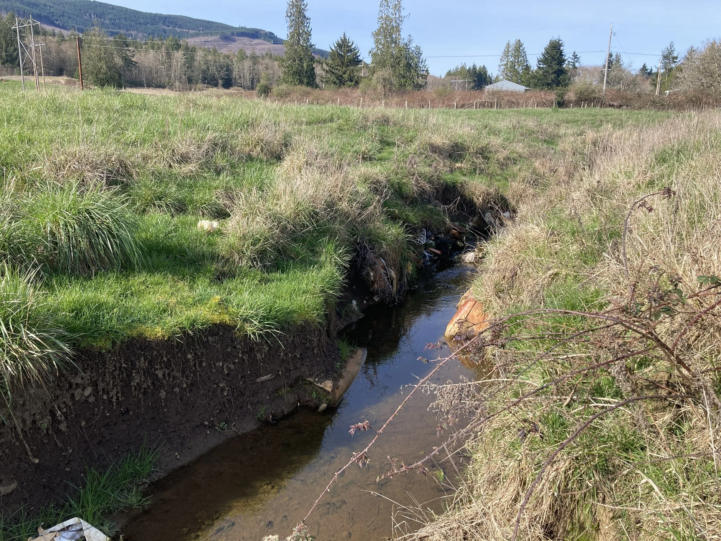 Houck Creek Prior to Rehabilitation