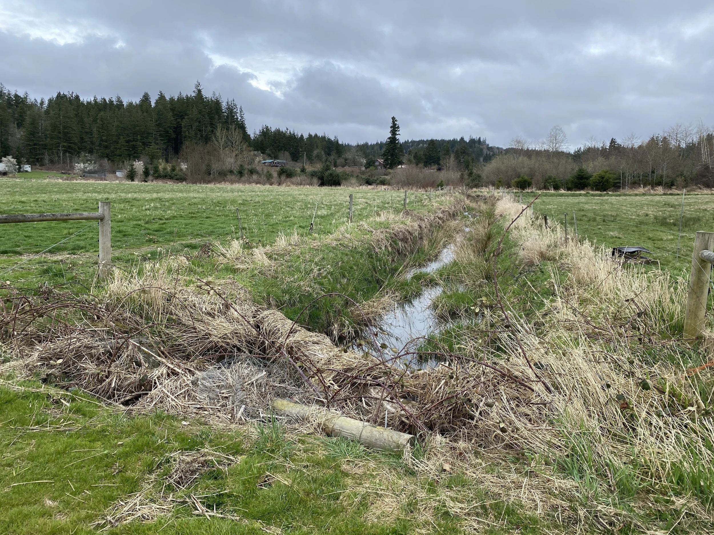 Donovan Creek prior to enhancement
