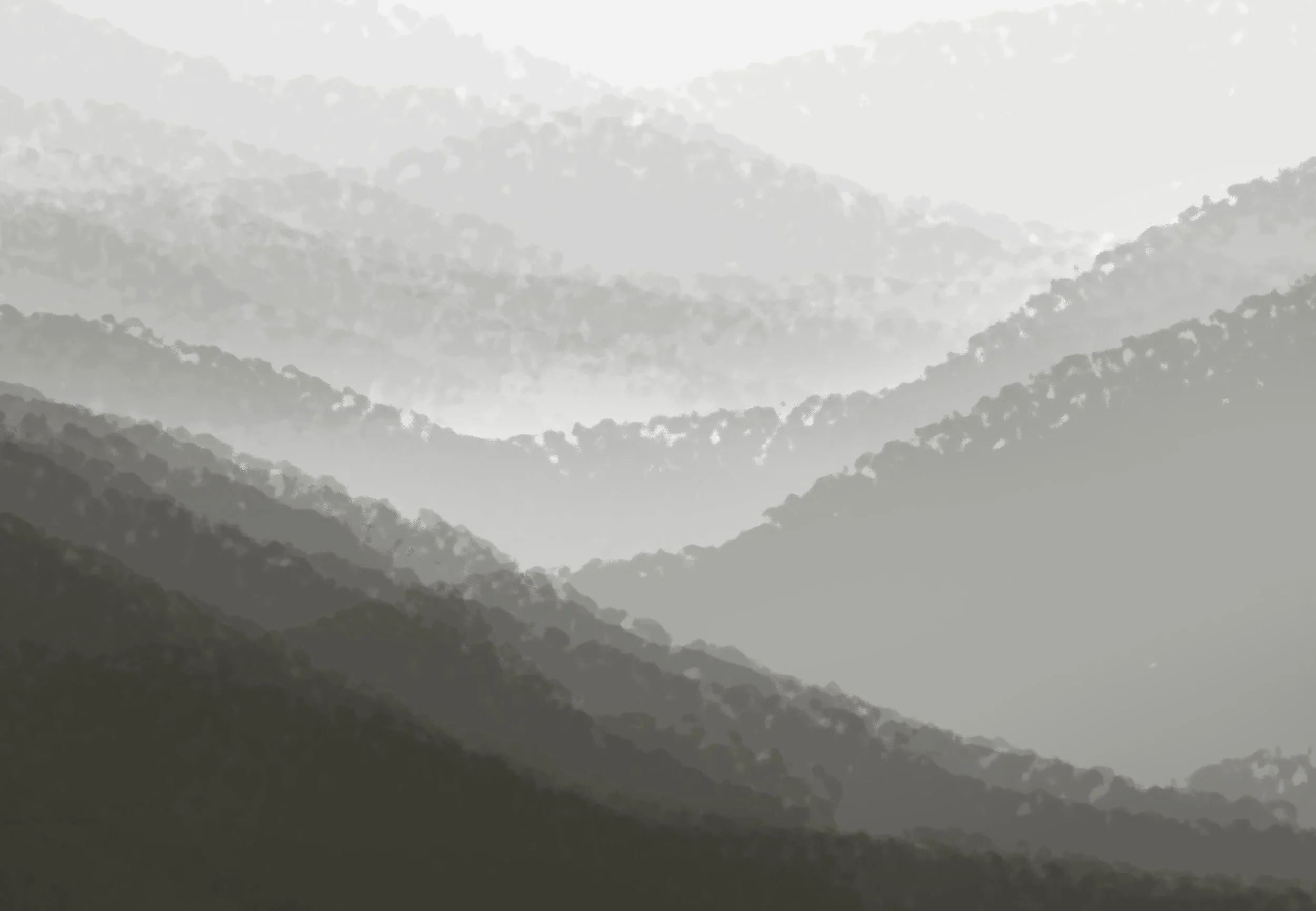 mountains-forest-2.jpg