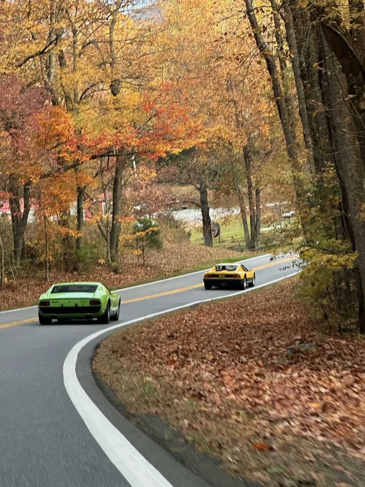 Roch run to Asheville 2023 - 4 of 15.jpeg