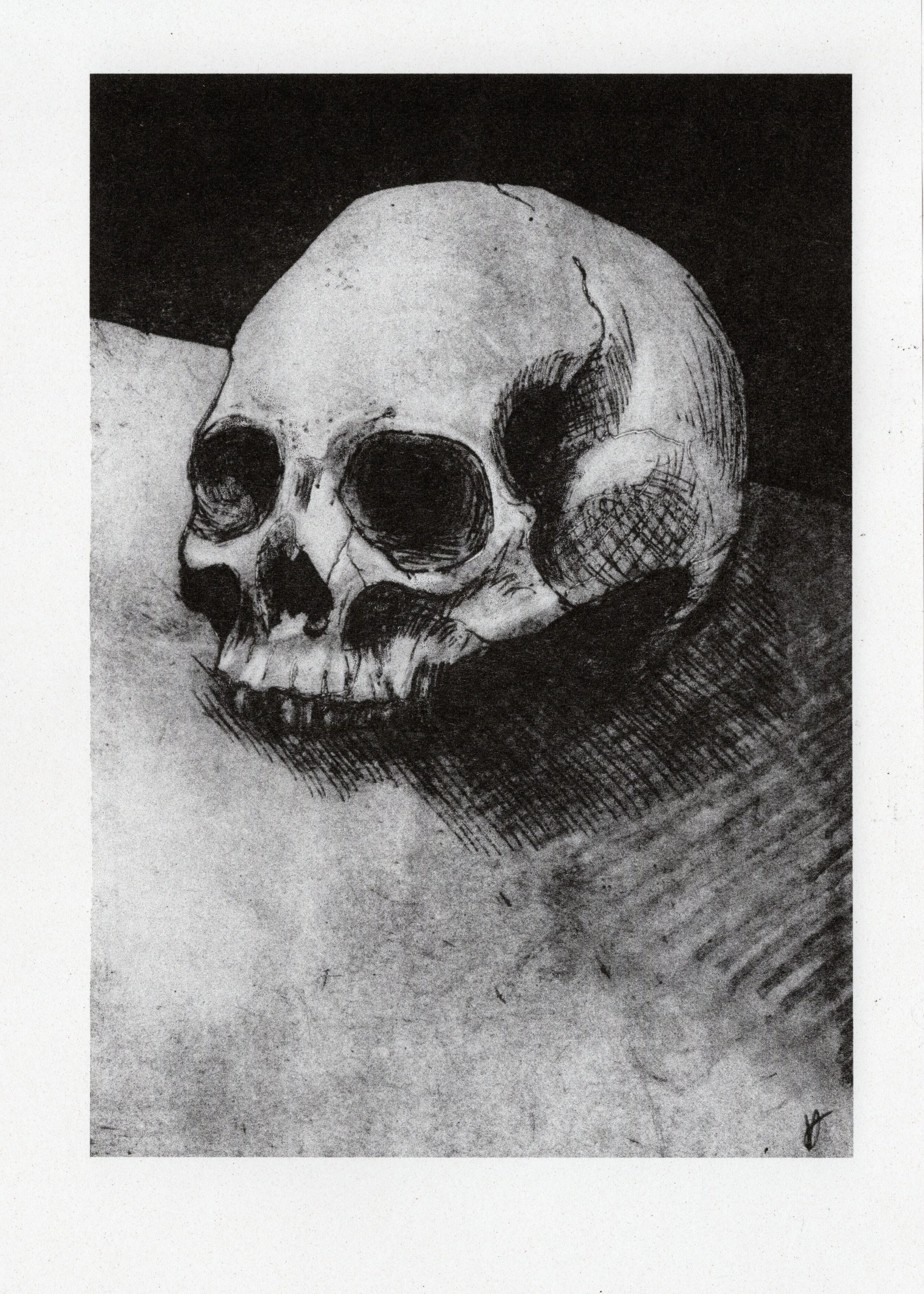 skull2.jpg