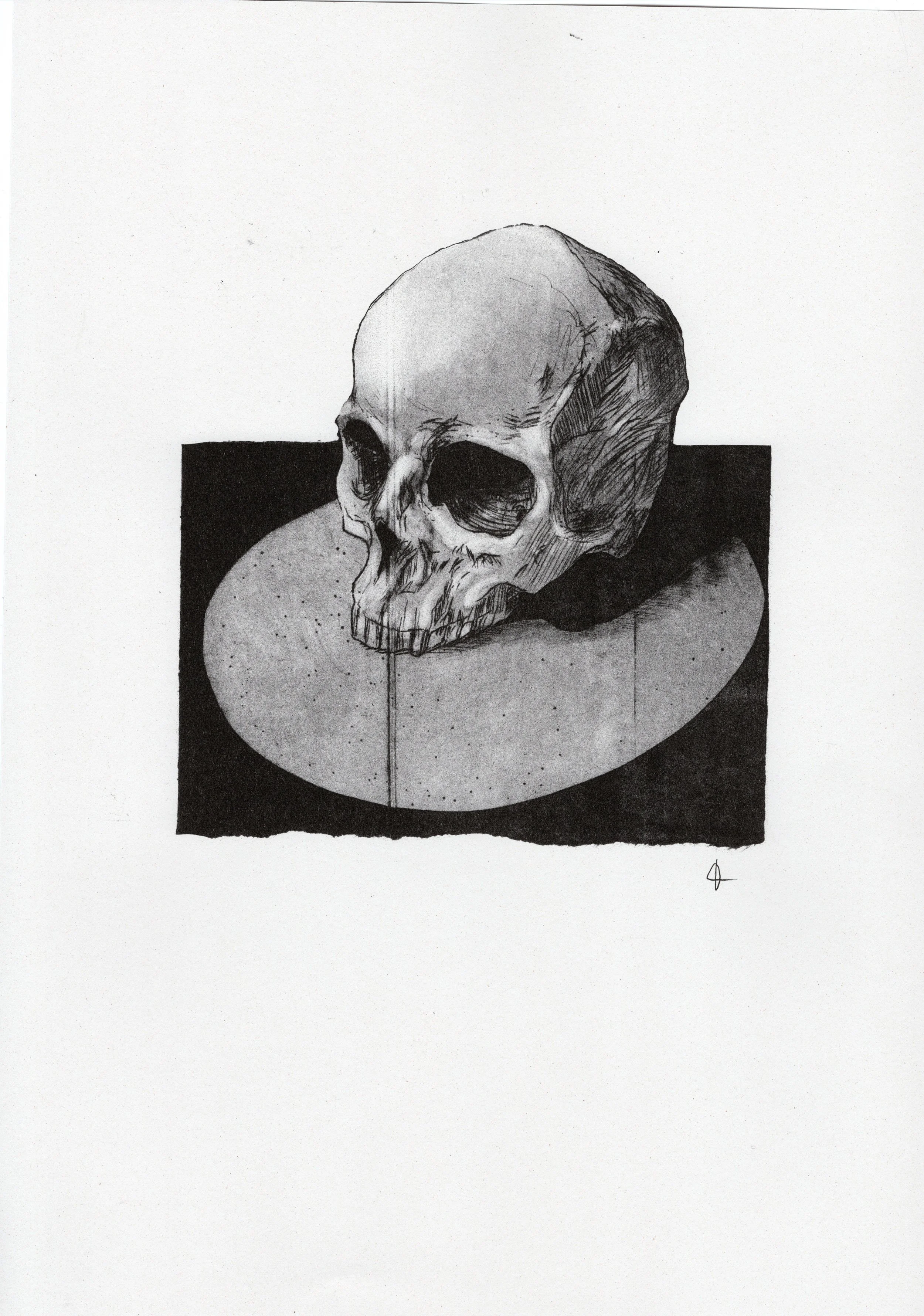skull1.jpg