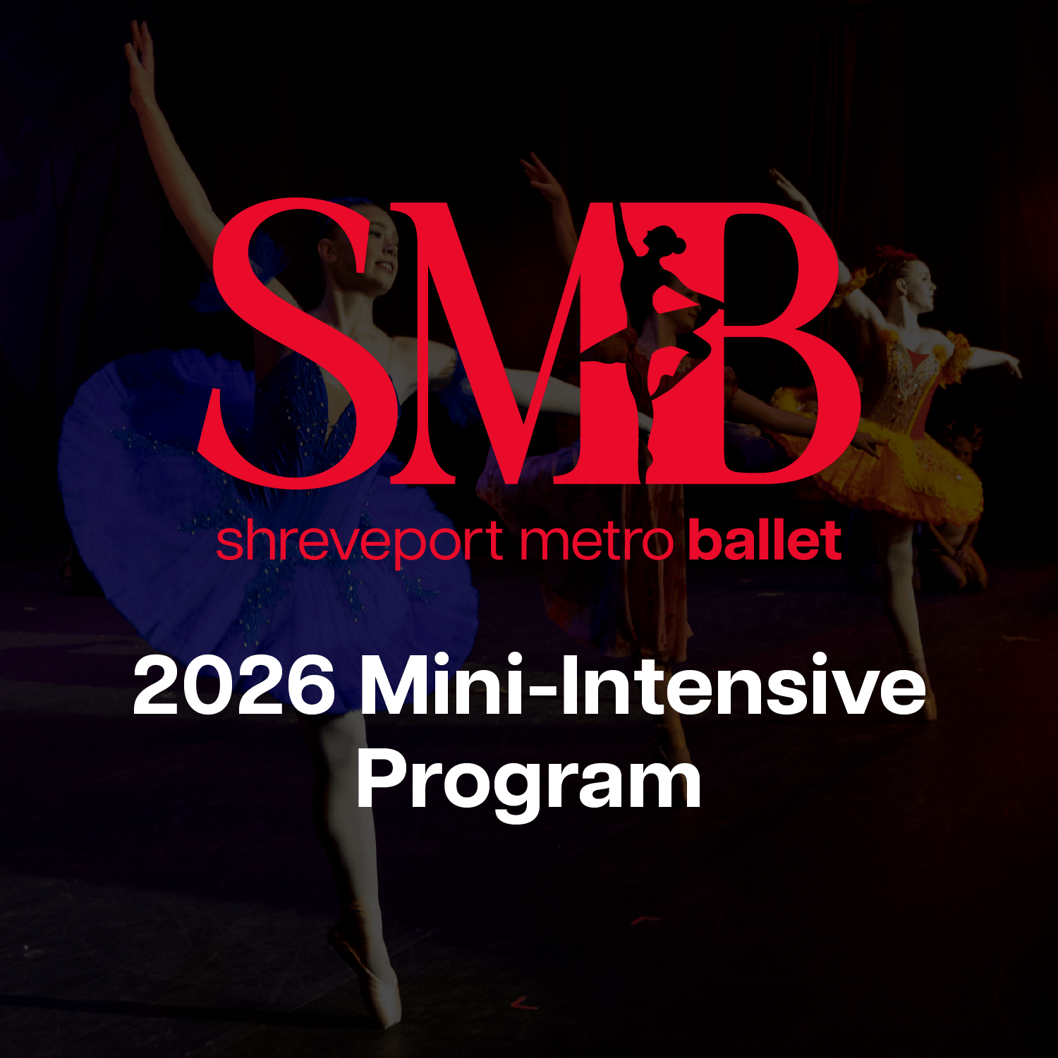 sm-mini-intensive.png