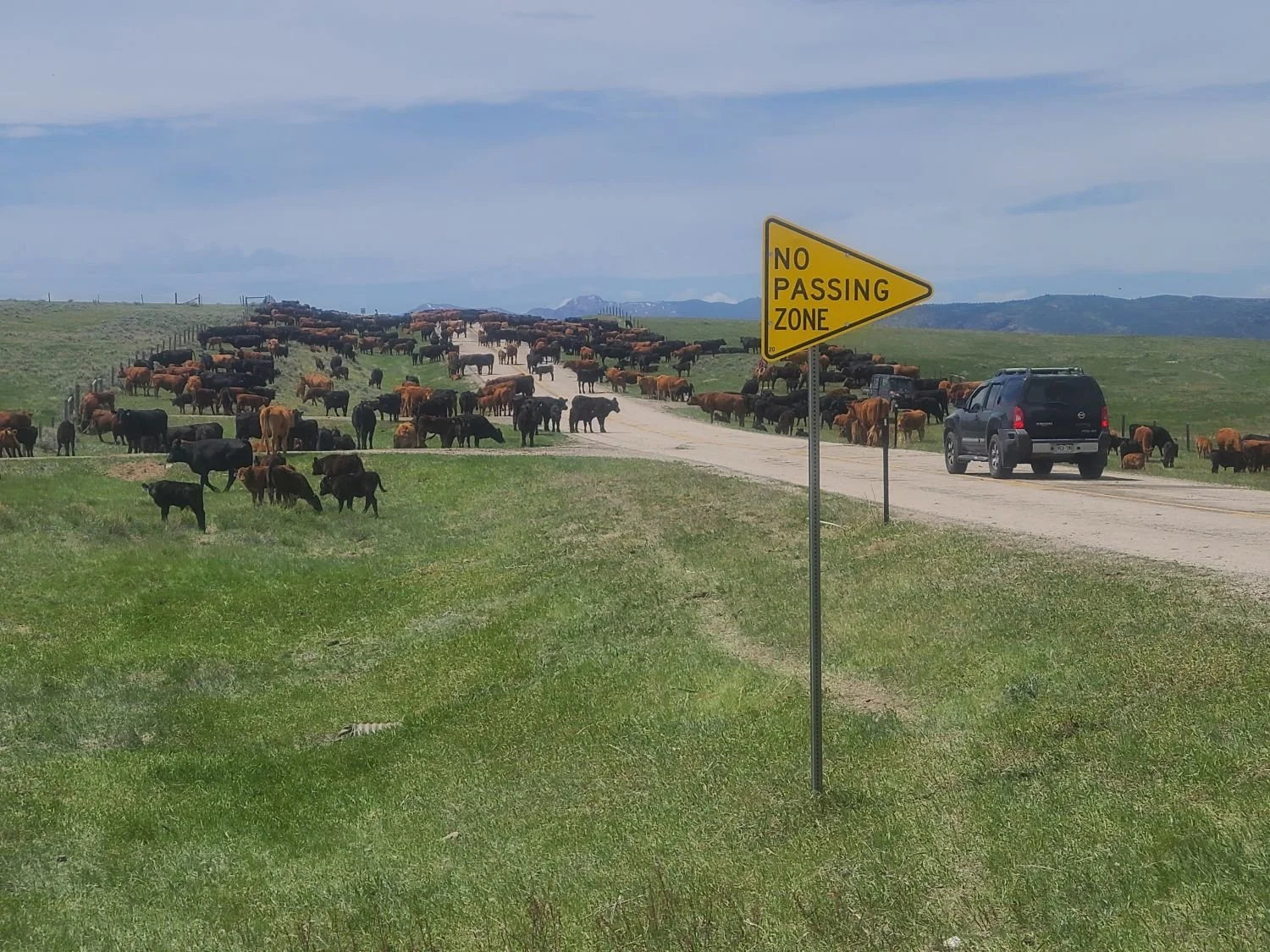 The Fifth-Generation Rancher vs. the California Billionaire: A Wyoming Family Fights for Its First, and Last Frontier