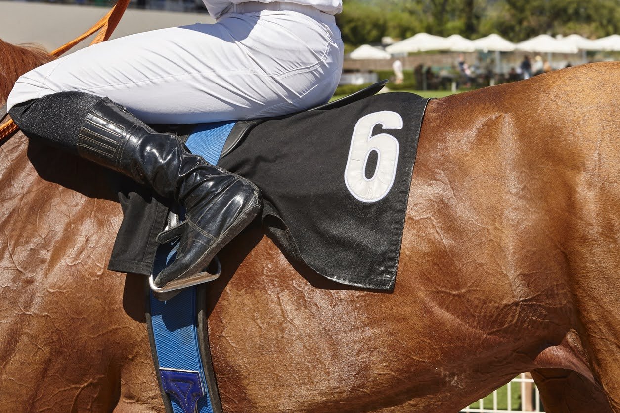 Horse's torso baring a blanket with the #6 and legs of a jockey.