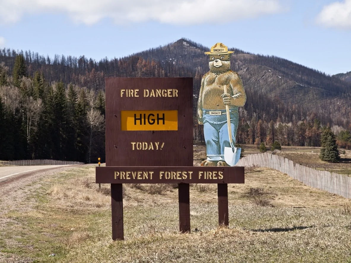 Eighty Years on, Smokey Bear Has Aged like a Fine Oak
