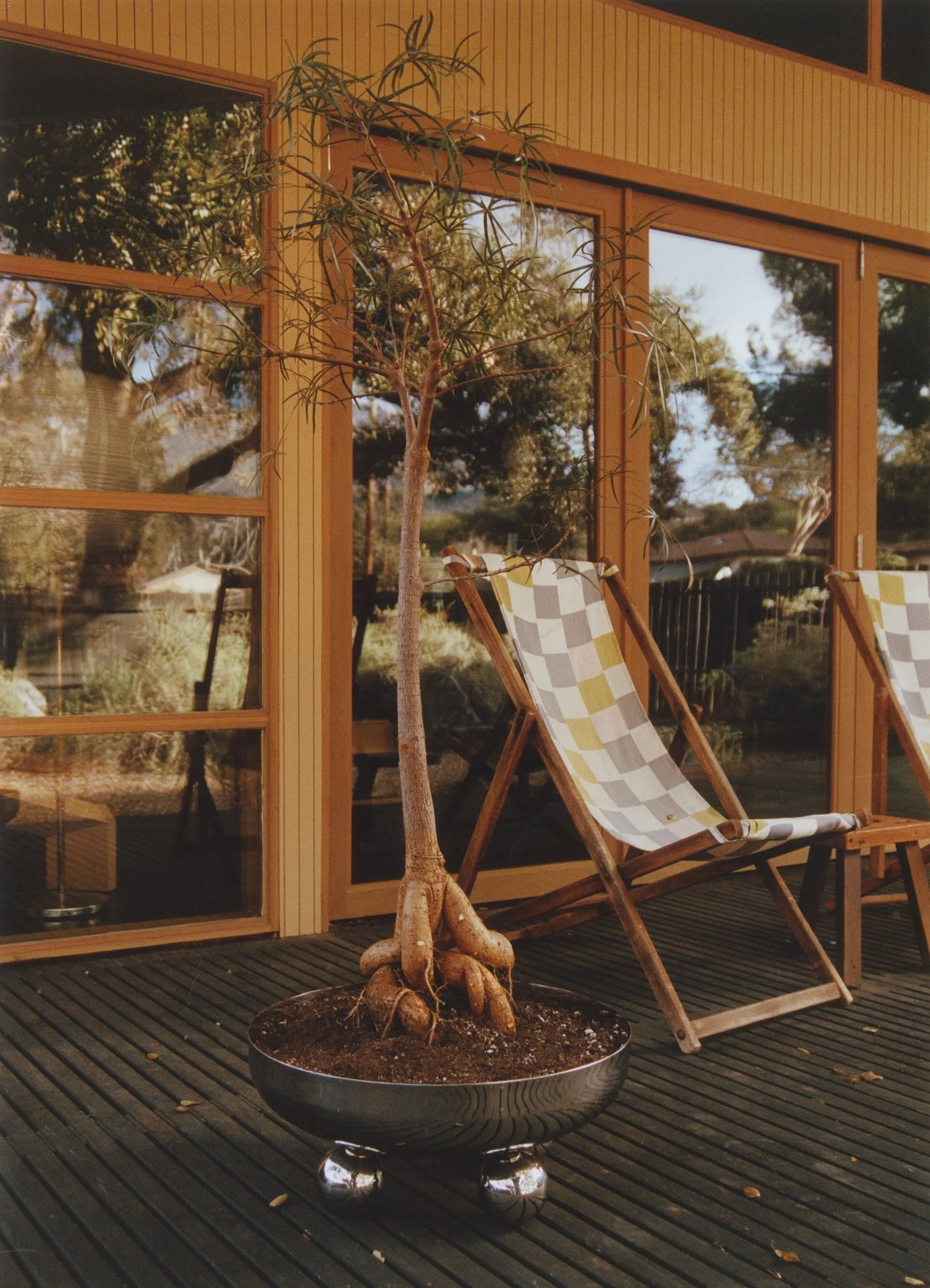 ZEPHYR PLANTER — MUHLY