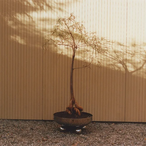 Zephyr Planter by Muhly