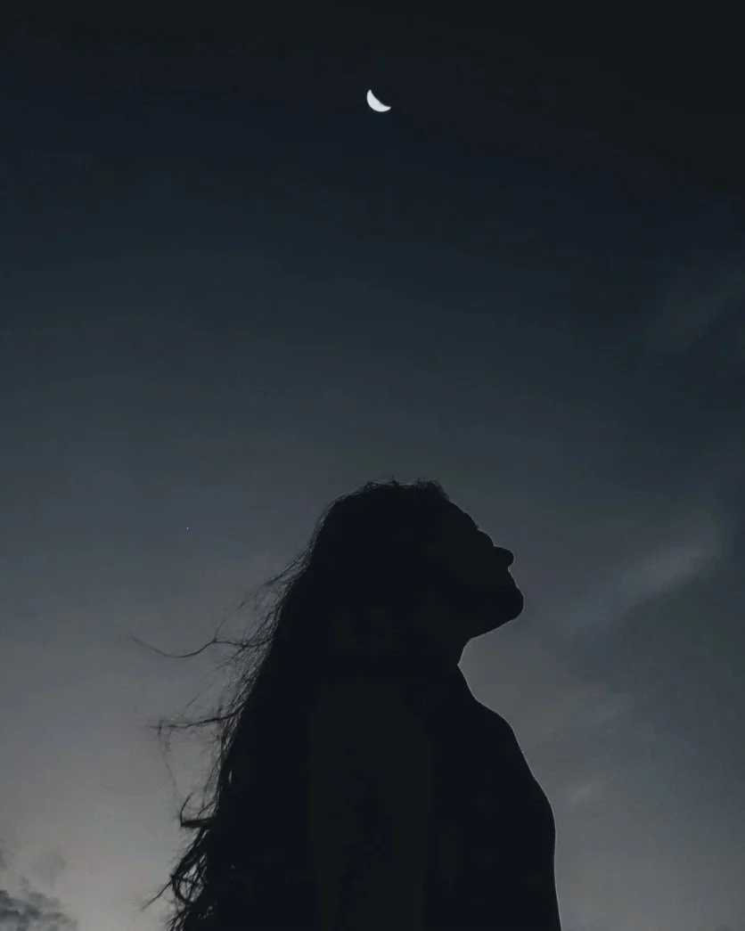 I met my shadows…and they crowned me whole. 