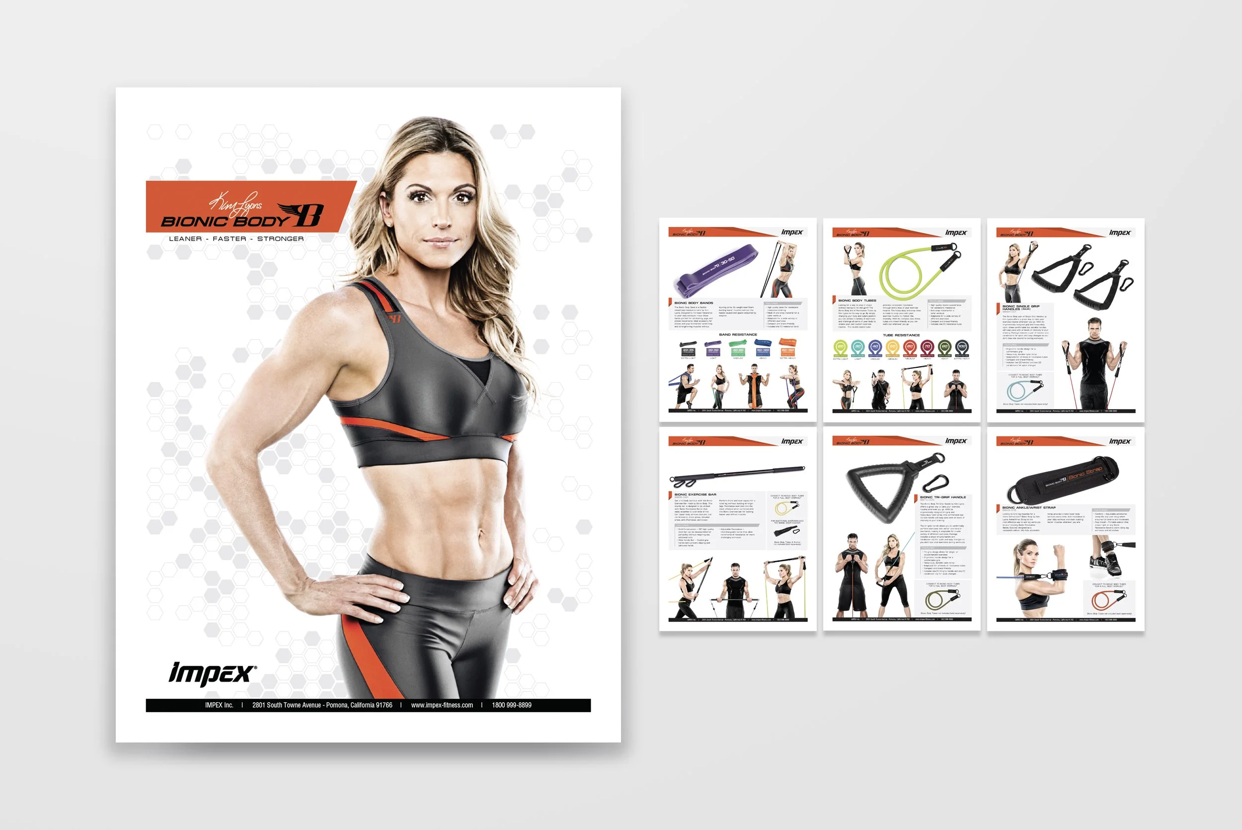 Catalogue Design: Bionic Body