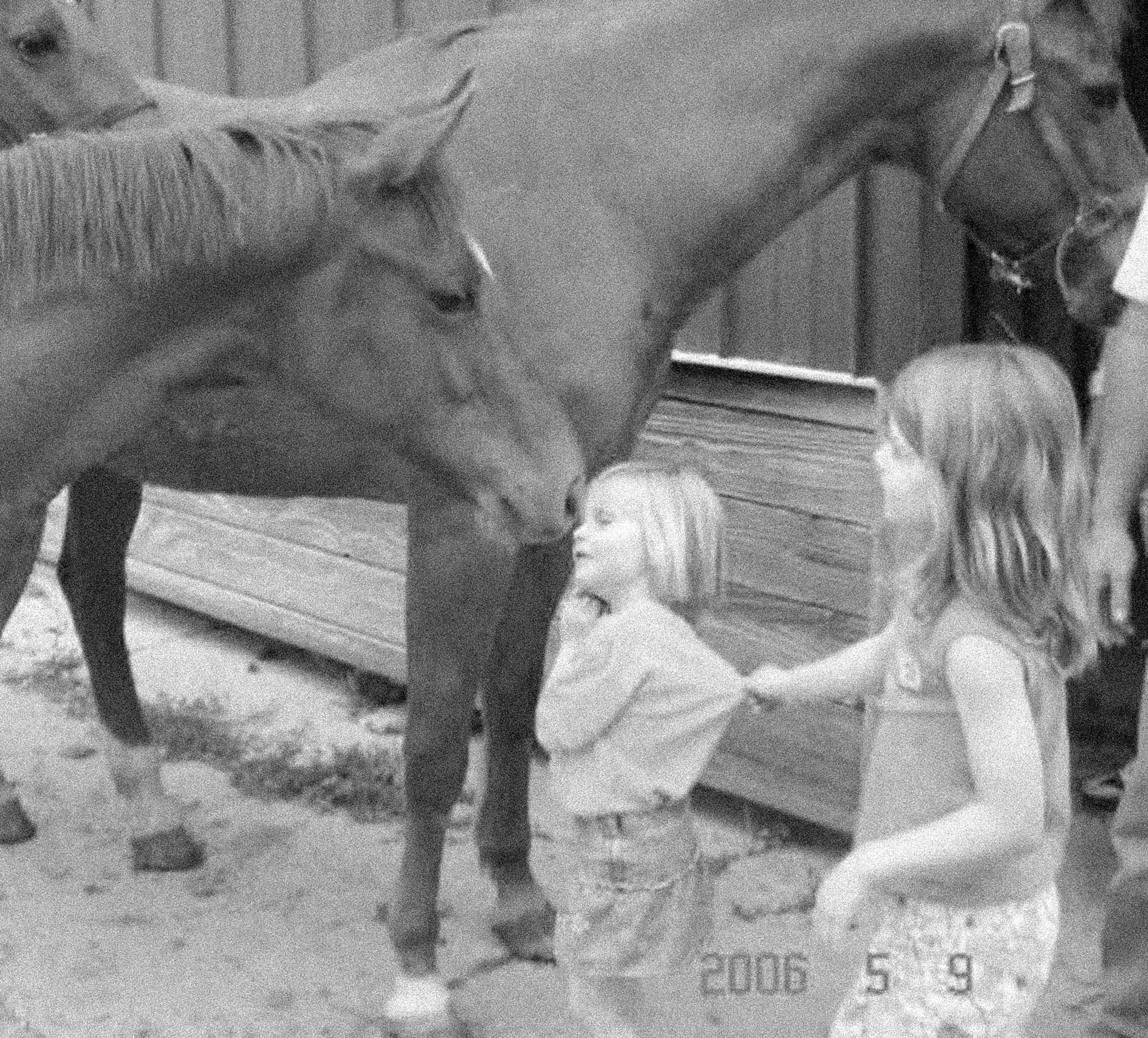 The “Horse girl” in question
