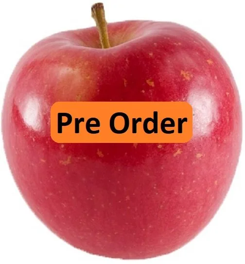 PreOrder - Daybreak Fuji.jpg