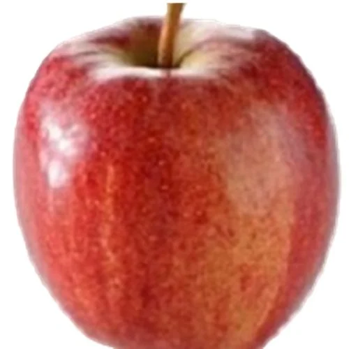 Wilton's Red Jonaprince.jpg