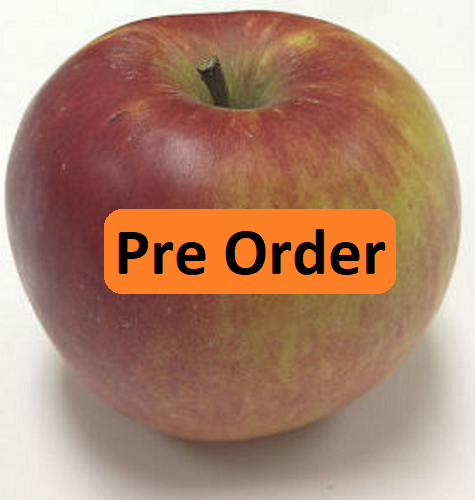 PreOrder - Nova Spy.png