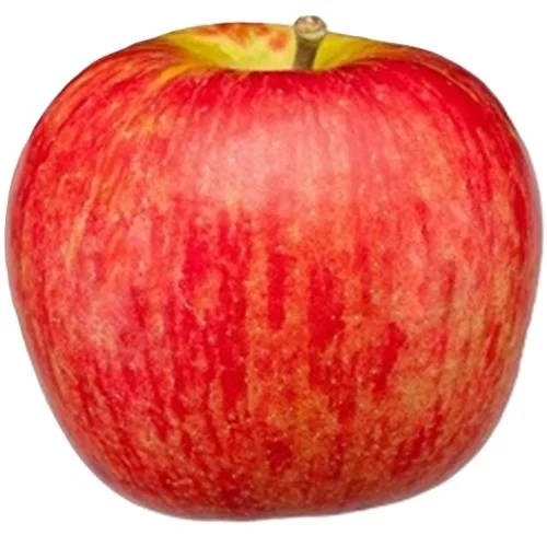Honeycrisp.jpg (Copy)